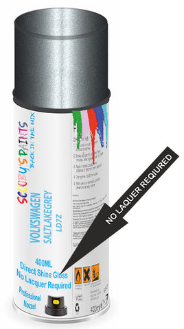 paint for Volkswagen Transporter T5