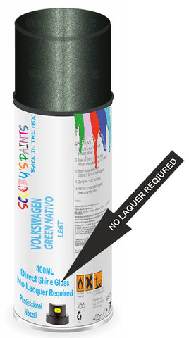paint for Volkswagen Pointer