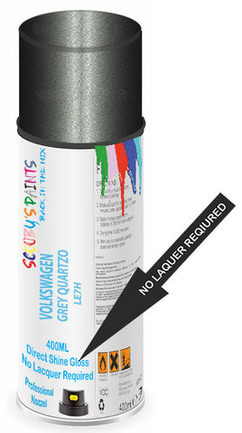 paint for Volkswagen Voyage