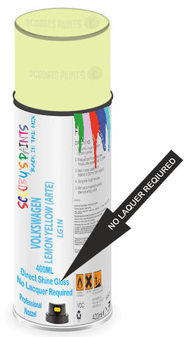 paint for Volkswagen Beetle