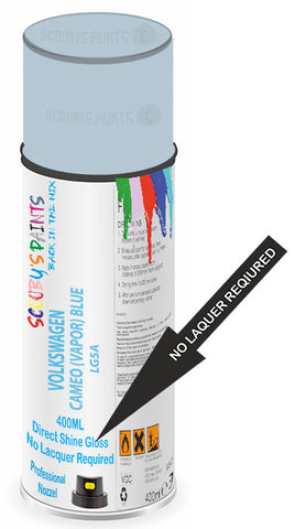 paint for Volkswagen Beetle