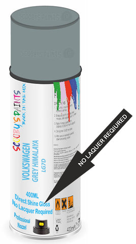 paint for VOLKSWAGEN 
