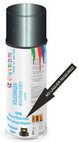 paint for Volkswagen Transporter T3