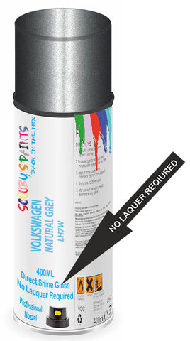 paint for Volkswagen Transporter T5