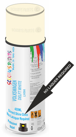 paint for VOLKSWAGEN 