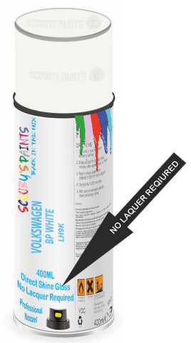 paint for VOLKSWAGEN 