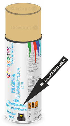 paint for VOLKSWAGEN 
