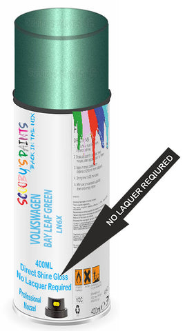 paint for Volkswagen Transporter T6