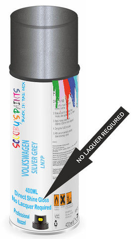 paint for Volkswagen Quantum