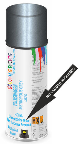 paint for Volkswagen Passat Variant