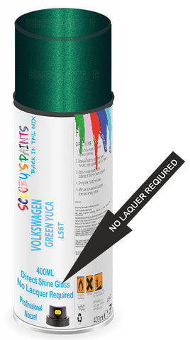 paint for Volkswagen Polo