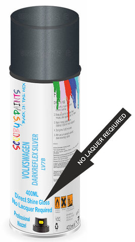 paint for Volkswagen Multivan