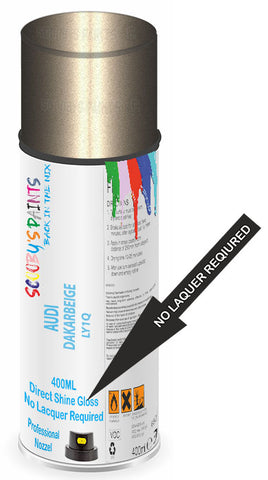 paint for Audi Tt Roadster