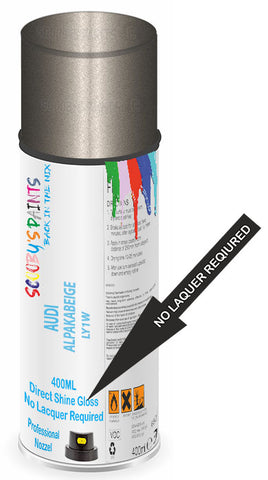 paint for Audi Tt Roadster