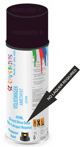 paint for VOLKSWAGEN 