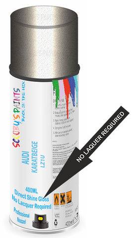 paint for Audi Tts Roadster