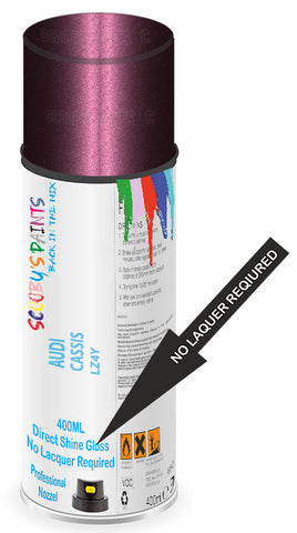 paint for AUDI A6/S6