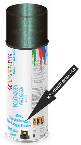 paint for VOLKSWAGEN 