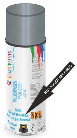 paint for VOLKSWAGEN 