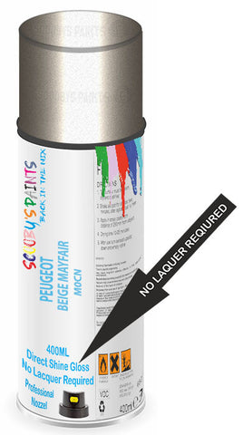 paint for Peugeot 505