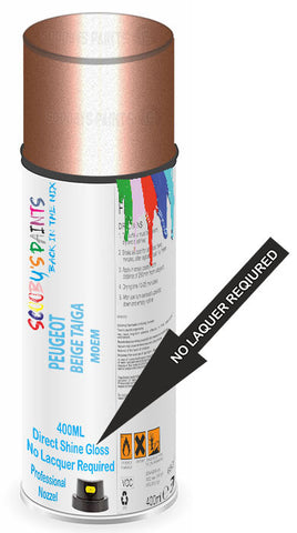 paint for Peugeot 306