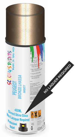 paint for Peugeot 406