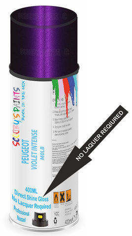 paint for Peugeot 207 Cc