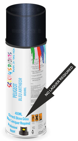 paint for Peugeot 605