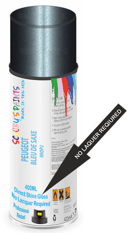 paint for Peugeot 306