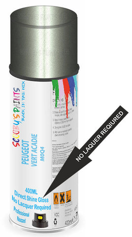 paint for Peugeot Grand Raid