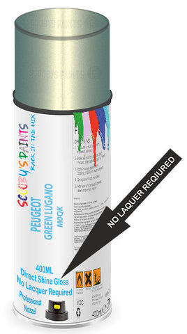paint for Peugeot 406 Coupe