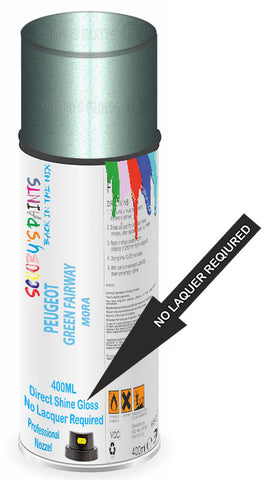paint for Peugeot Rcz