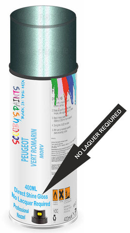paint for Peugeot 106