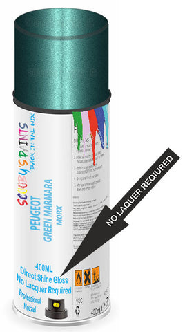 paint for Peugeot 806