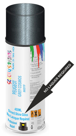 paint for Peugeot 406 Coupe