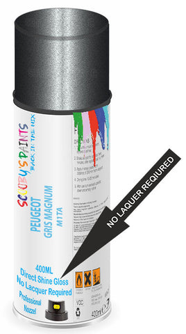 paint for Peugeot 504 Pick-Up Argentine