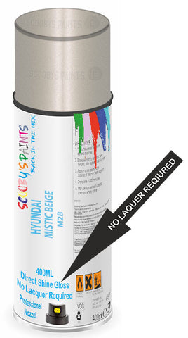 paint for Hyundai Veloster Turbo