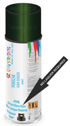 paint for Porsche 911