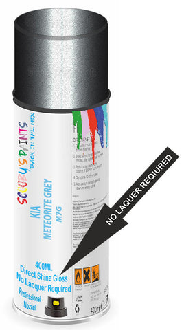 paint for Kia Ray