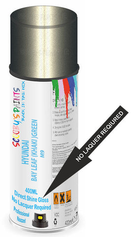 paint for Hyundai Grandeur