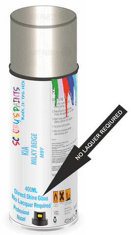 paint for Kia Ray