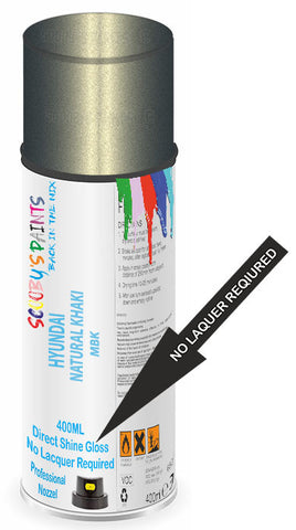 paint for Hyundai Elantra