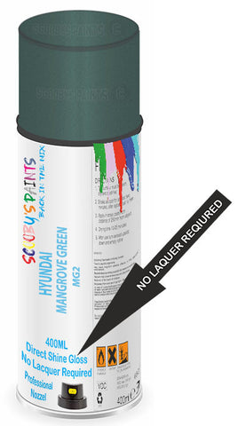paint for Hyundai I20N