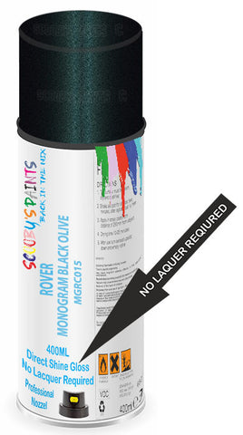 paint for ROVER 