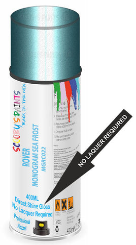 paint for Rover 25-Series