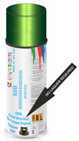 paint for ROVER 
