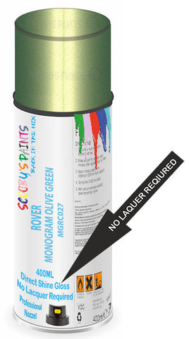 paint for ROVER 
