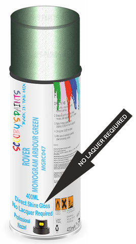 paint for ROVER STREETWISE