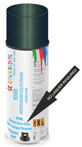 paint for ROVER 