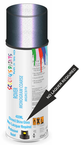 paint for ROVER 